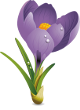 Главная